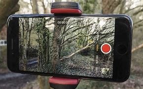 Image result for iPhone Camera Focus Pong