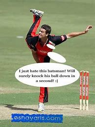 Image result for Funny Cricket