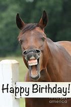 Image result for Cute Happy Birthday Horse
