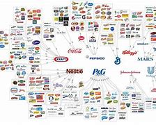 Image result for PepsiCo India Brands