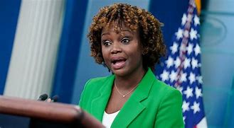 Image result for African White House Reporter
