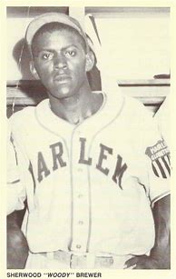 Image result for Negro League