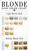 Image result for Shades of Natural Blonde Hair Color Chart