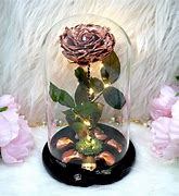 Image result for Gold Dipped Rose in Glass Dome