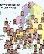 Image result for Baltic Phenotype