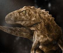 Image result for 2D Dinosaur