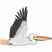 Image result for Pelican Cartoon Clip Art