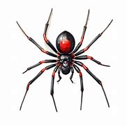 Image result for Black Widow Spider PNG