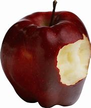 Image result for Apple Smartphone