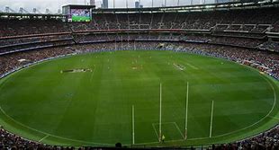 Image result for Cricket Field Birds Eye View