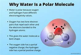 Image result for water polar molecule