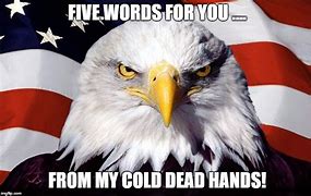 Image result for Cold Dead Hands Meme
