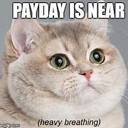 Image result for Payday Cat Meme