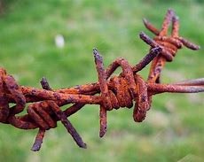 Image result for Rusty Barbed Wire Art