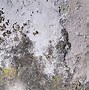 Image result for Dirty Apartment Wall Texture