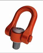 Image result for Swivel Shackle for Lifting