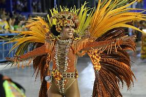 Image result for rio carnival