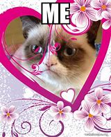 Image result for Grumpy Cat Valentine Memes