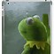 Image result for Sad Kermit the Frog Window Meme