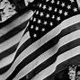 Image result for U.S. Flag Icon