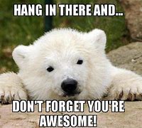 Image result for Hang in There Funny