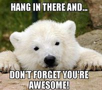 Image result for Hang in There Team Meme