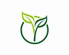 Image result for Logo Plante