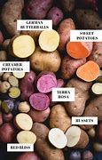 Image result for Potato Varieties List