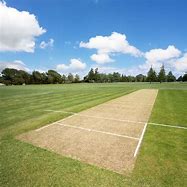 Image result for Cricket Grass Ground Background
