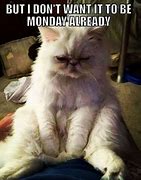 Image result for Happy Monday Funny Meme Sticker