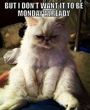 Image result for Funny Memes About Monday