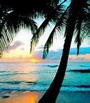 Image result for Free Beach Scene Wallpaper for Computers