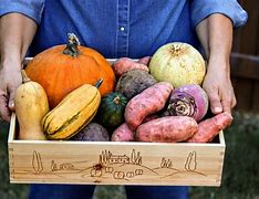 Image result for Community-Supported Agriculture