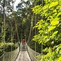 Image result for Malaysia Tourism
