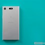 Image result for Sony Xperia XZ-1 Compact Dust Mesh