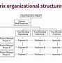 Image result for Multinational Corporation Structure