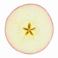 Image result for One Nine Apple Circle