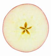 Image result for Apple Slice Pic