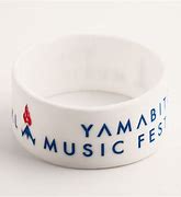 Image result for Music Festival Wristbands