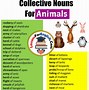 Image result for Collective Noun Table