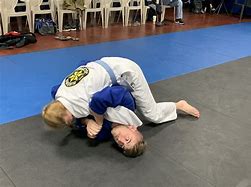 Image result for Brazilian Jiu Jitsu Self-Defense Kick