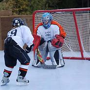 Image result for Synthetic Ice Hockey Field