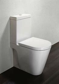 Image result for Roca Toilet Flush Button
