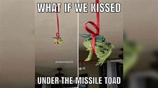 Image result for Missile Crazy Frog Meme