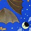 Image result for Sonoran Desert Bat Illustration