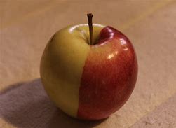 Image result for Red Green Apple's