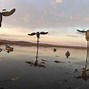 Image result for Duck Hunting iPhone Backgrounds