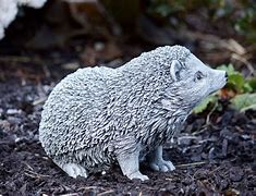 Image result for Concrete Hedgehog