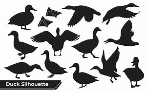 Image result for Fish Hook Duck Silhouette