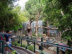 Image result for San Diego Zoo Cage